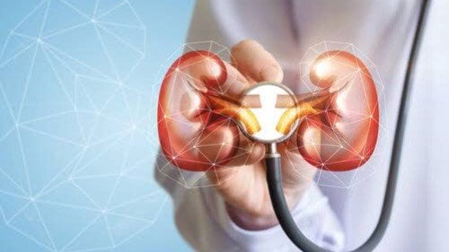 Penyakit Autoimun IgA Nephropathy yang Dialami Abdee Slank, Begini Gejalanya