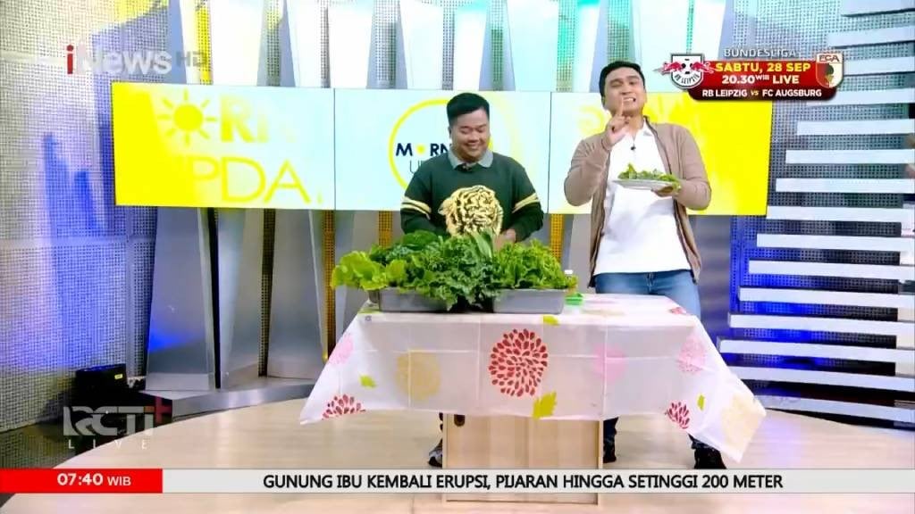 Morning Update: Cara Bercocok Tanam Hidroponik untuk Pemula, Lengkap dengan Tips Sukses Panen Besar