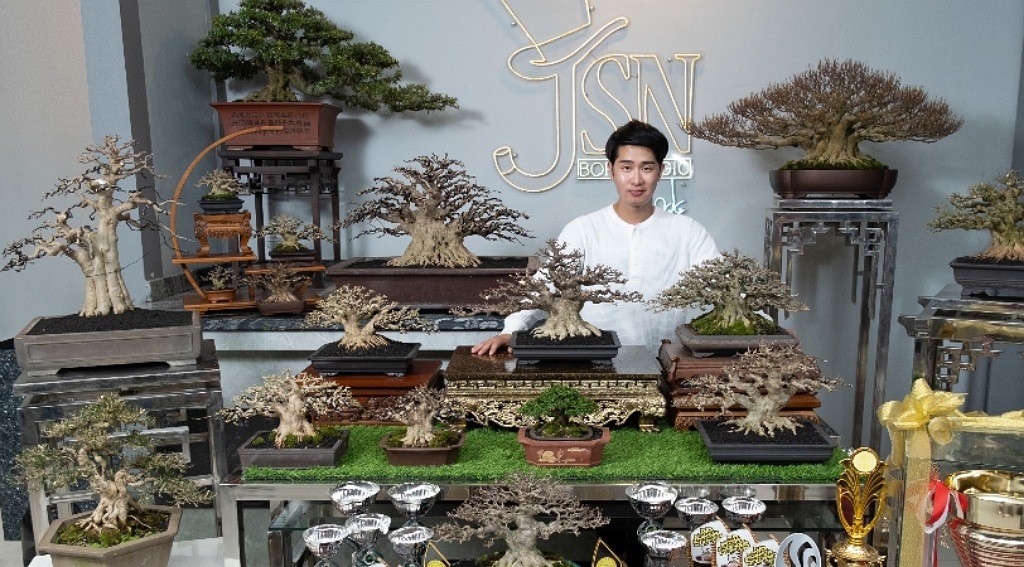 Tanaman Bonsai asal Indonesia Dilirik Pasar Internasional usai Menang Kontes 