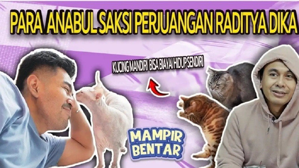 Robby Purba dan Raditya Dika, Momen Manis Bersama Bitsi Kucing Sphynx yang Harus Diet