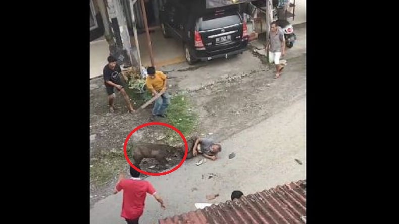 Ngeri! Video Viral Warga Padang Pariaman Diseruduk Babi Hutan hingga Tangan-Jari Patah