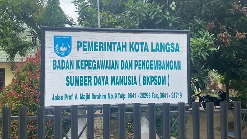 Pemerintah Kota Langsa Buka Pendaftaran Seleksi PPPK 2024, Simak Formasinya