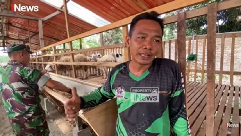 Cerita Serma Agus Supriyanto, Anggota TNI dari Kodim Jombang yang Beternak Kambing dengan Sistem Bagi Hasil