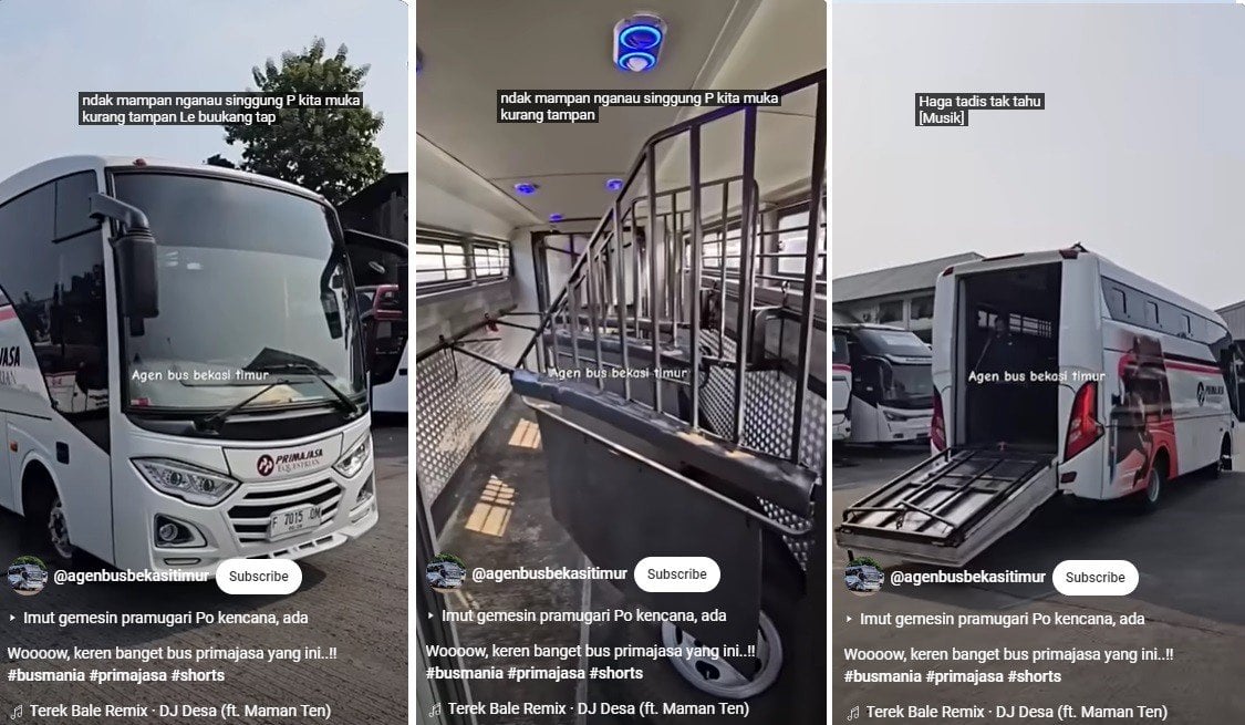 PO Primajasa Bikin Heboh Hadirkan Bus Khusus Angkut Kuda