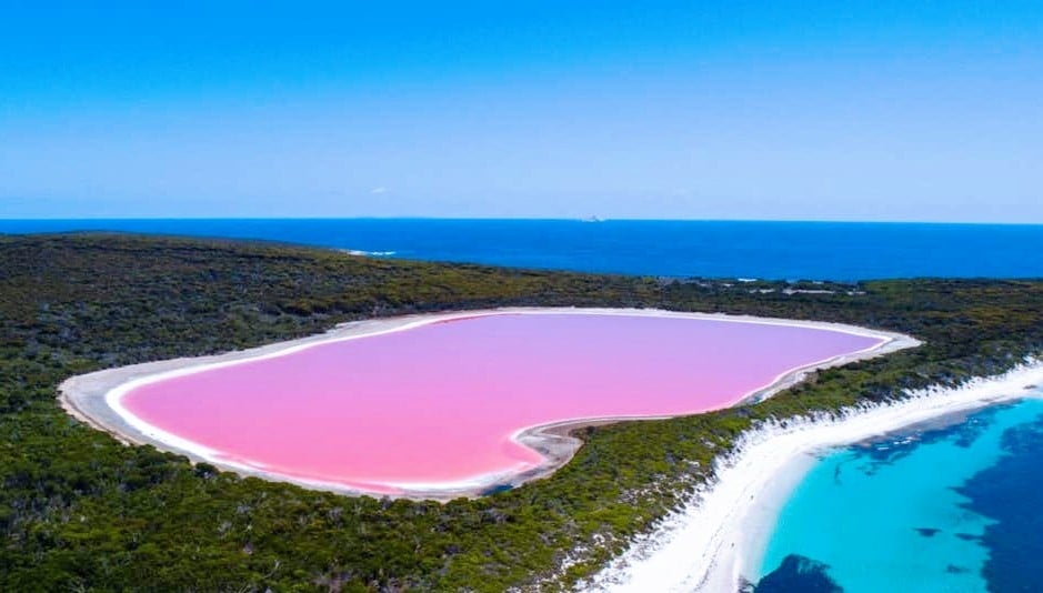 Misteri Danau Berwarna Pink, Meski Diguyur Hujan Warna Tidak Berubah