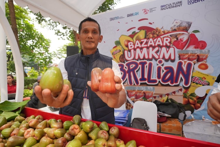 Kisah Petani Jambu di Kudus, Sukses Kembangkan Usaha Berkat Pemberdayaan BRI