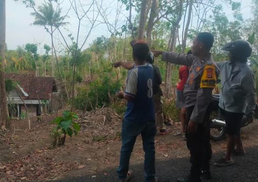 4 Warga Kulonprogo Dievakuasi ke Rumah Sakit usai Diserang Ratusan Tawon Gung