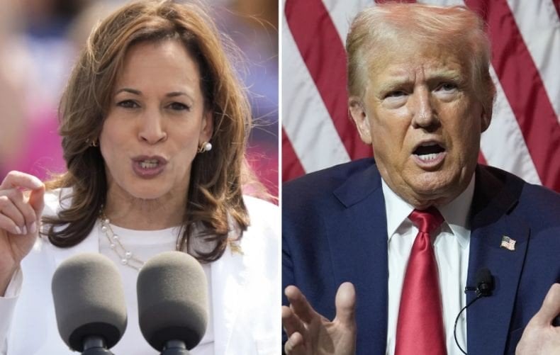 Pilpres AS: Kamala Harris di Atas Angin Punya Modal 226 Suara Elektoral, Trump 216