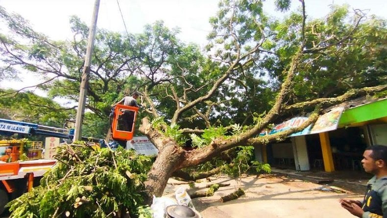 Pohon Tumbang di Stasiun Malang, Warga dan Penumpang Kereta Sempat Panik