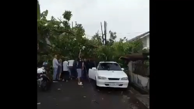 Hujan Deras dan Angin Kencang, Pohon Tumbang Timpa Mobil di Kompleks Ciceri Indah Serang