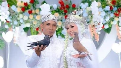 Viral Pengantin Ini Jadikan Burung Dara sebagai Mahar Pernikahan, Netizen: Wah Giring