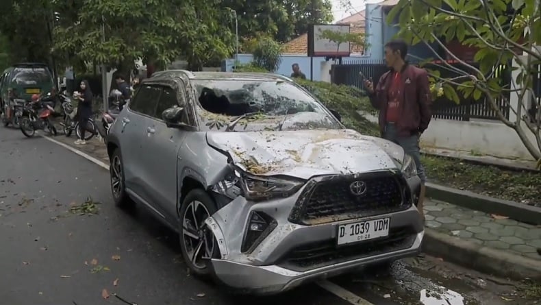 Hujan Deras Disertai Angin Kencang, 2 Pohon Tumbang Timpa 5 Mobil di Cisadea Bandung