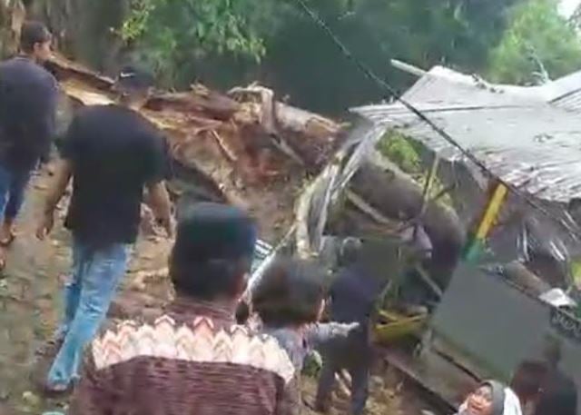 Kronologi Pohon Tumbang Timpa Situs Bulu Matanre Soppeng Tewaskan 9 Orang