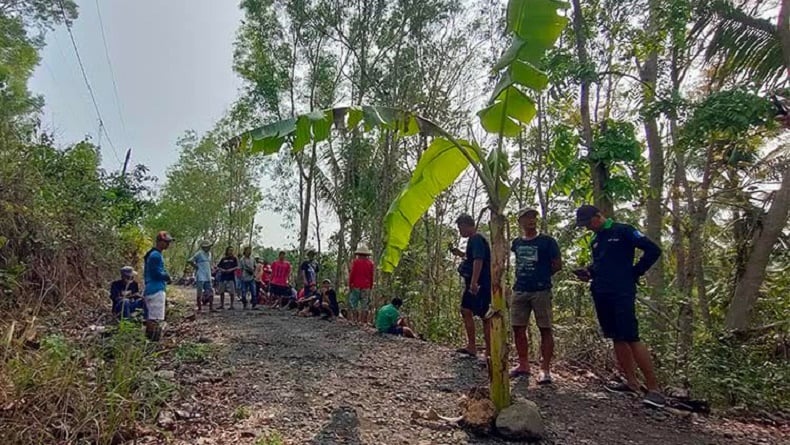 Protes Jalan Rusak Tak Diperbaiki, Warga Gayam Kulonprogo Tanam Pohon Pisang