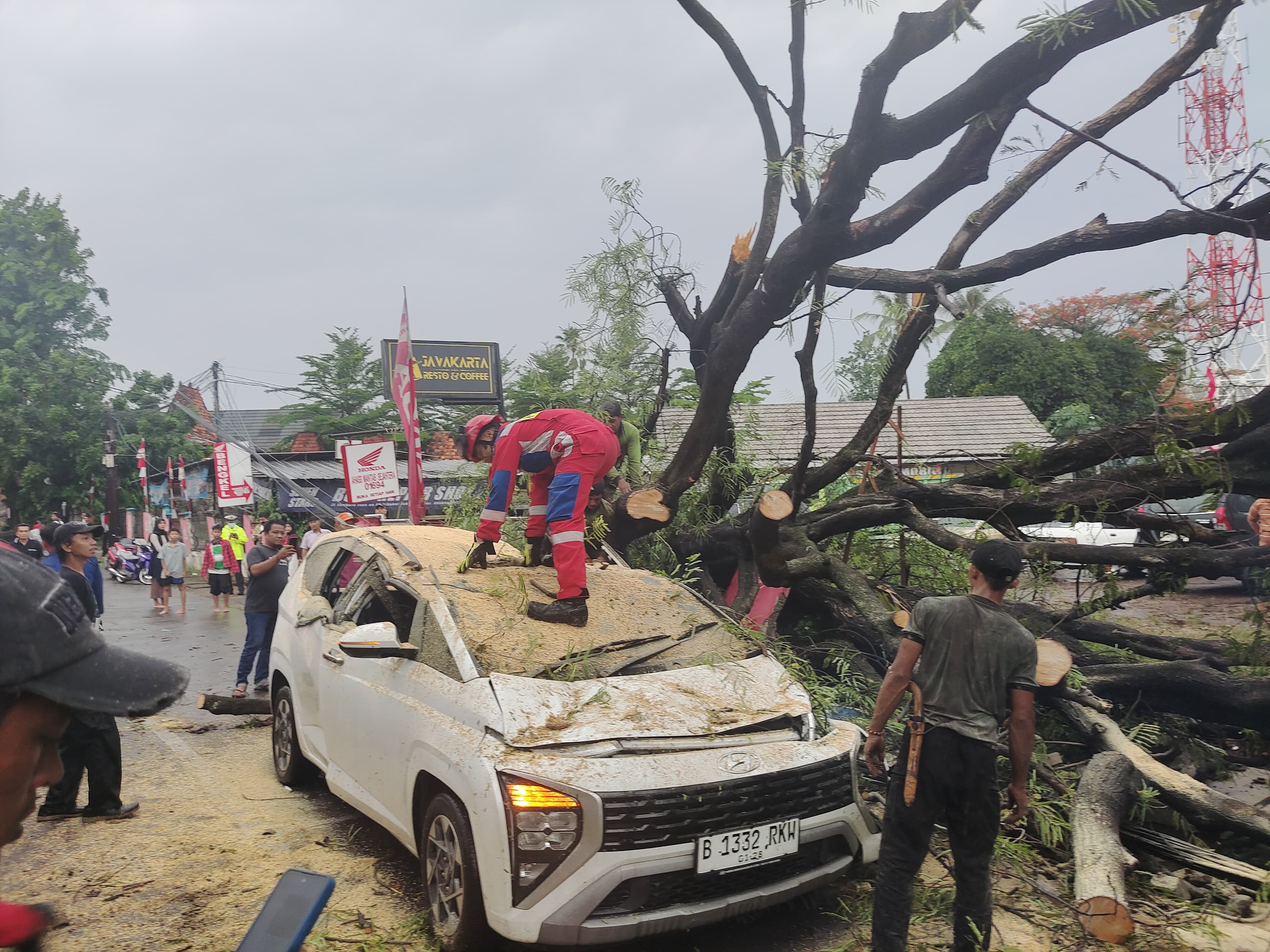 Hujan Deras, 2 Mobil Tertimpa Pohon di Cibubur Jaktim