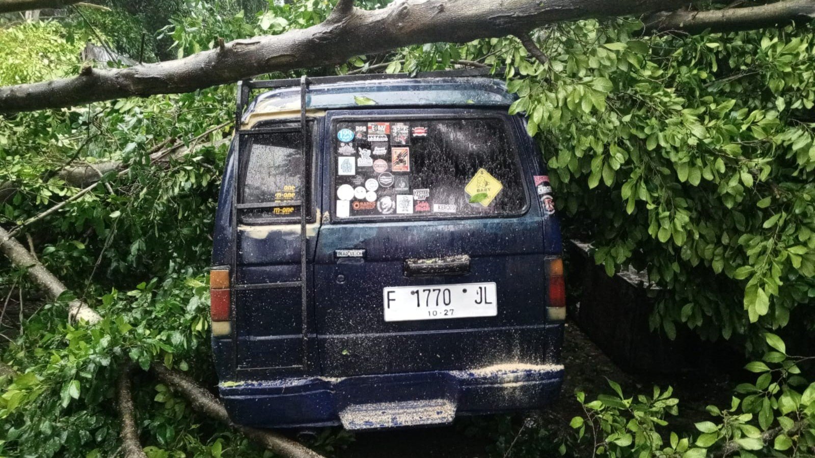 Satu Orang Terluka akibat Pohon Tumbang di Bogor