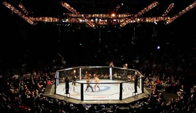 Asal-usul Octagon, Arena Pertumpahan Darah Petarung UFC