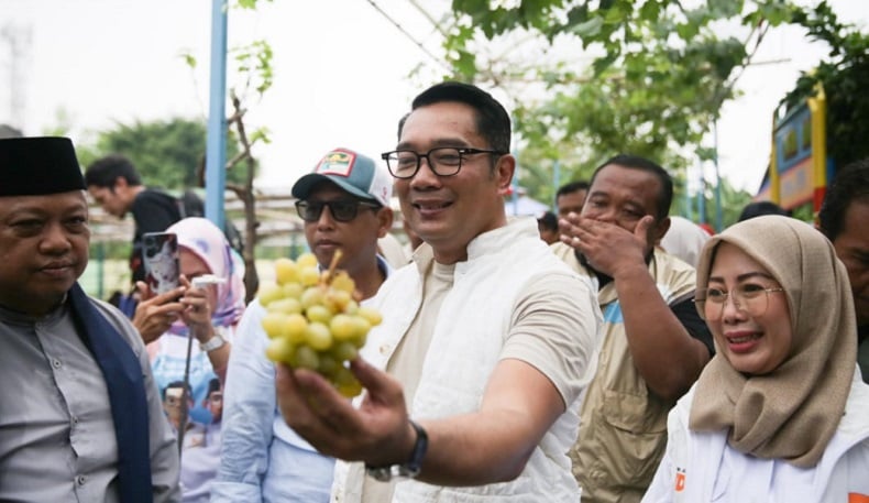 Ridwan Kamil Kunjungi Agro Eduwisata di Kembangan Jakbar, Paparkan Program Urban Farming