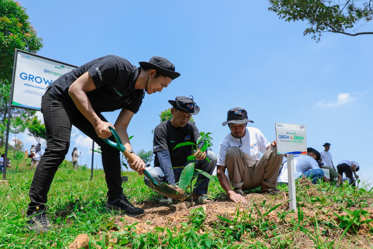 BRI Menanam-Grow & Green bersama KTH Pabangbon Pulihkan Hutan Bekas Tambang