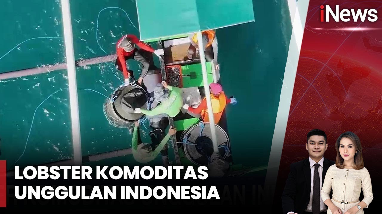 Dampak Positif Dirasakan Nelayan di 3 Perairan Sentra Lobster, Ini Penyebabnya