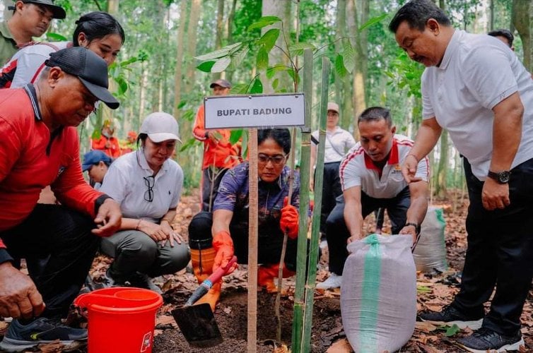 Rawat Bumi dan Lindungi Sumber Air, Bupati Giri Prasta Tanam 1.000 Pohon Pala