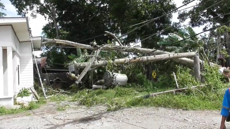 Diterjang Angin Kencang, Pohon Besar Tumbang Timpa Tiang Listrik hingga Patah di Temanggung