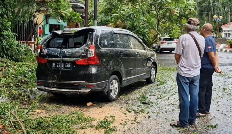 11 Pohon Tumbang di Jakpus akibat Hujan Deras, Timpa Mobil hingga Ringsek