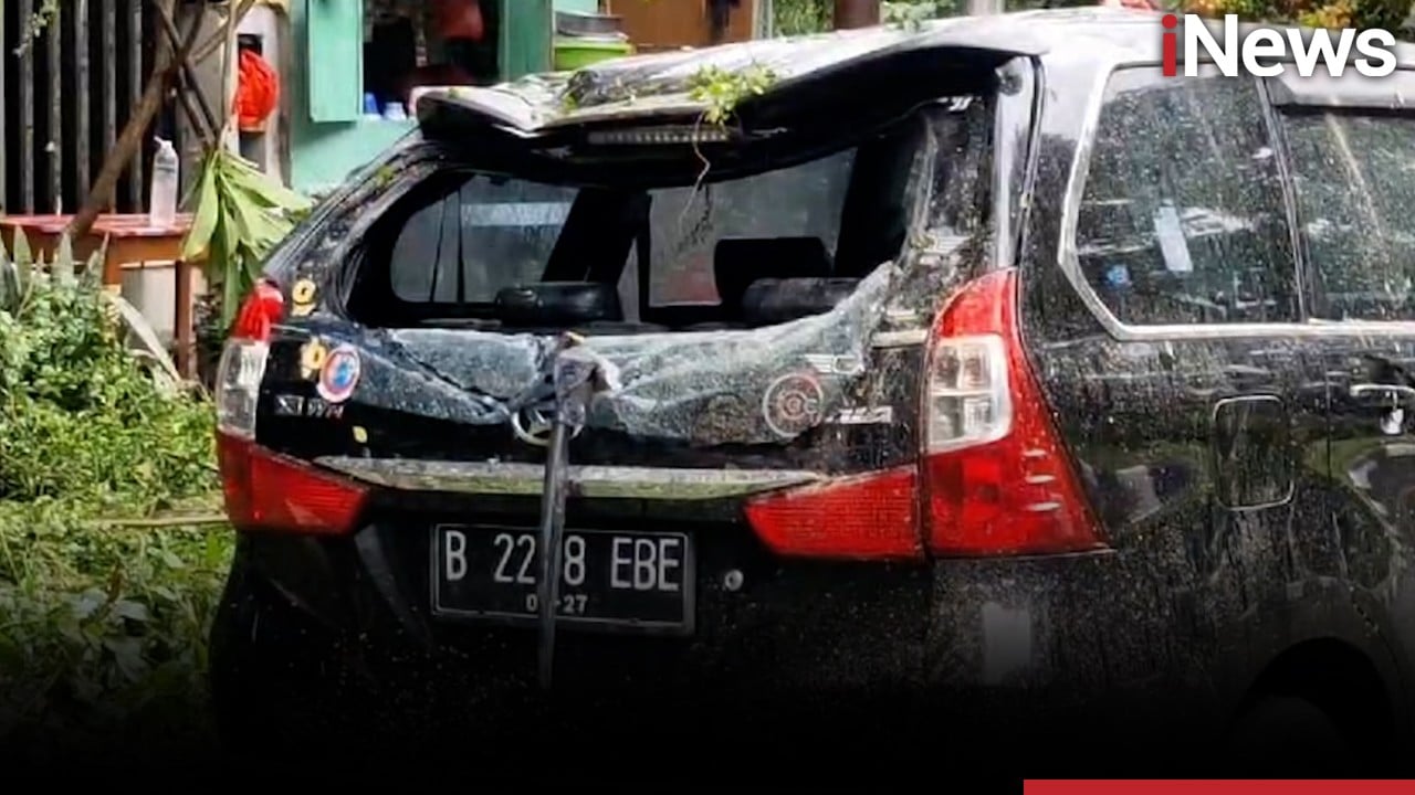 Belasan Pohon Tumbang Timpa Mobil saat Hujan disertai Angin Kencang Terjang Jakpus