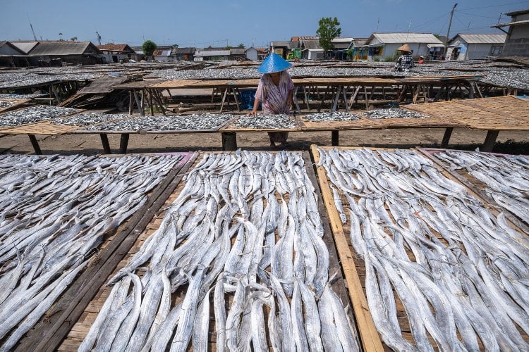 BRI Dukung Program Makan Bergizi Gratis lewat Pembiayaan dan Pemberdayaan