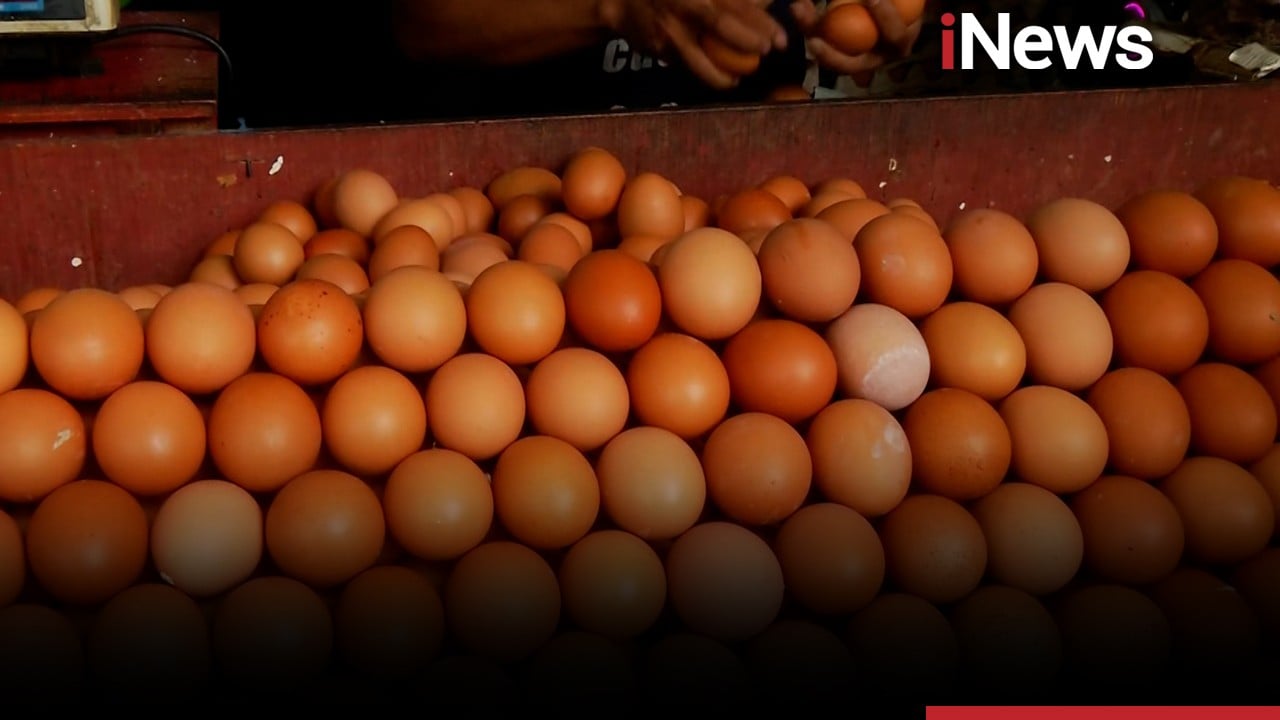 Harga Telur Meroket di Pasar Palmerah Jelang Nataru, Tembus Rp33.000 Per Kg