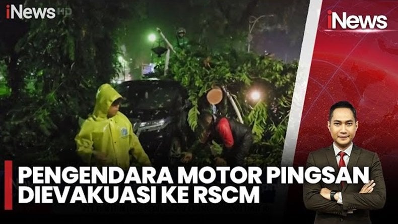 Pohon Tumbang Timpa Alphard dan Motor di Taman Suropati, Pengendara Pingsan