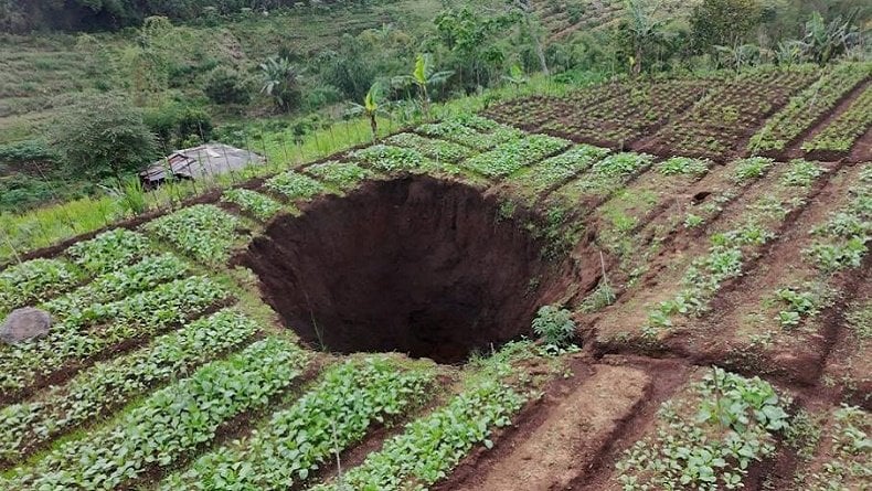 Heboh Kemunculan Sinkhole di Perkebunan Sawi Kota Batu, Pertanda Apa?