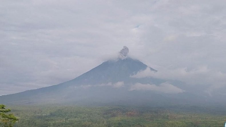 Gunung Semeru Kembali Luncurkan Abu Vulkanik 800 Meter, Waspada Potensi Awan Panas Guguran