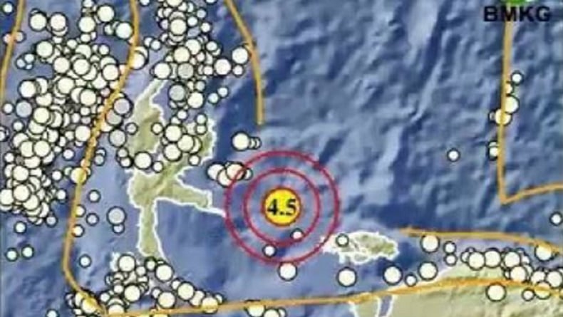 Gempa Hari Ini Magnitudo 4,5 Guncang Raja Ampat Papua Barat