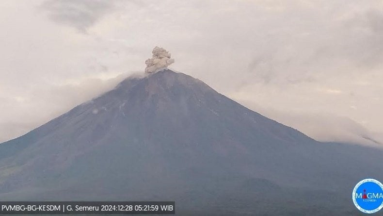 Gunung Semeru Erupsi Hari Ini, Semburkan Abu Vulkanis Setinggi 700 Meter