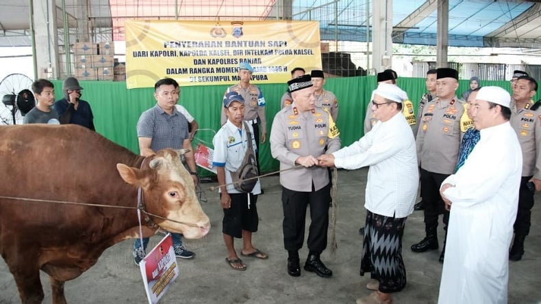 Haul Guru Sekumpul di Banjar Kalsel, Kapolri Sumbang 4 Ekor Sapi Limousin