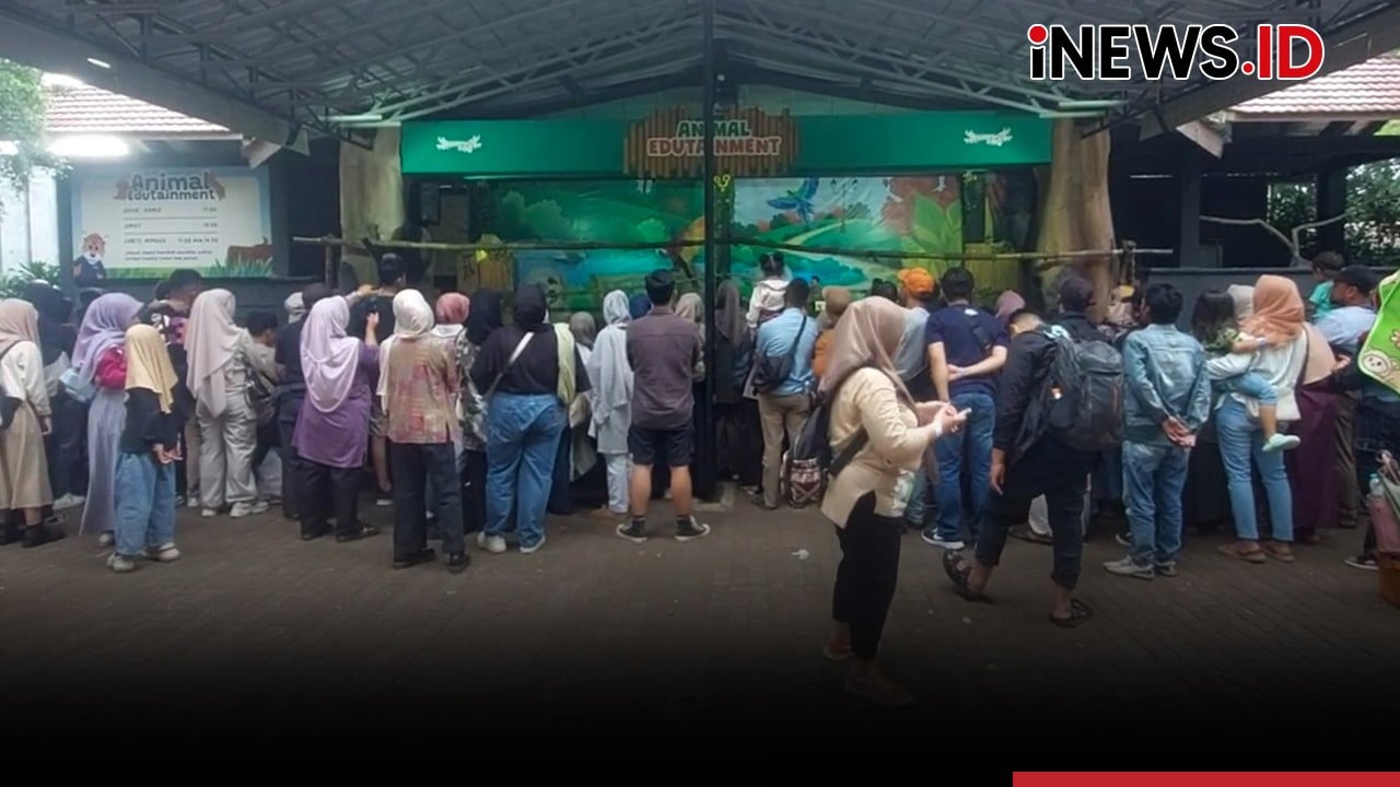 Libur Nataru Berakhir, Kebun Binatang Bandung Diserbu Pengunjung