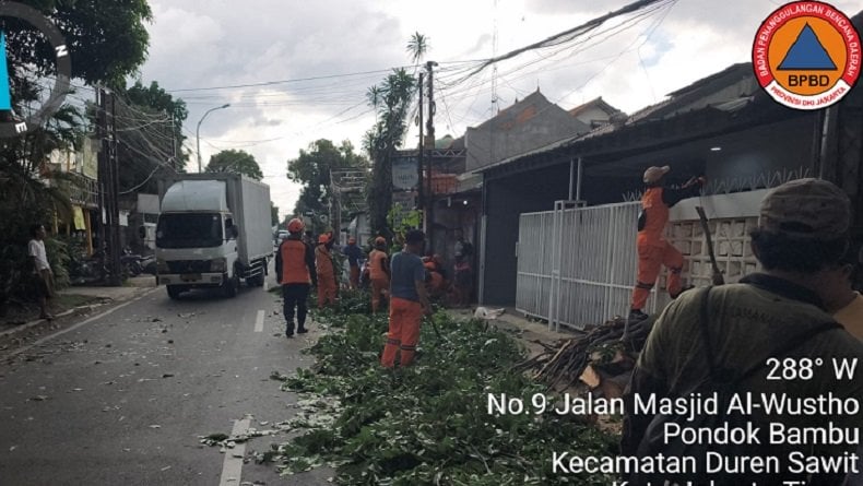 Angin Kencang, Pohon Tumbang Timpa Kanopi Rumah di Duren Sawit Jaktim