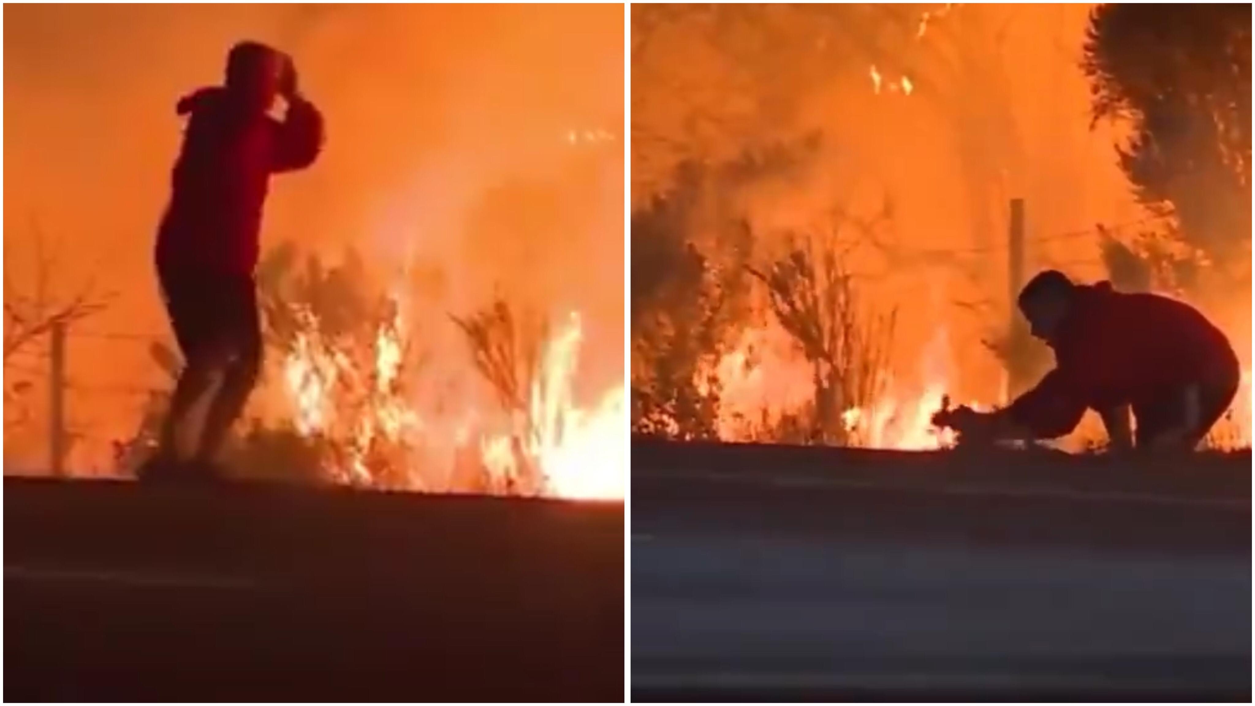 Viral Video Pria Selamatkan Kelinci dari Kebakaran Los Angeles, Ini Fakta Sebenarnya