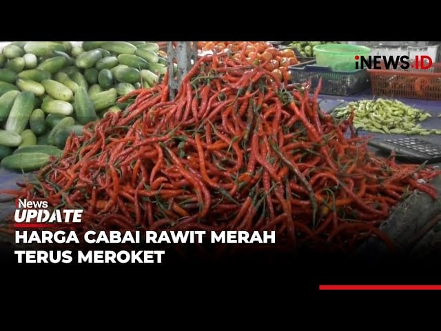 Duh! Harga Cabai Rawit di Pasar Gudang Tigaraksa Tangerang Tembus­­­­­ Rp150.000 per Kg