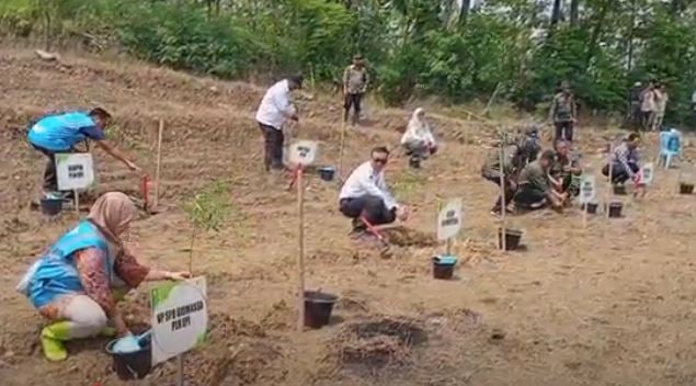 Dukung Ketahanan Pangan-Energi, PLN Gandeng Tanam Kaliandra dan Gamal di Brebes