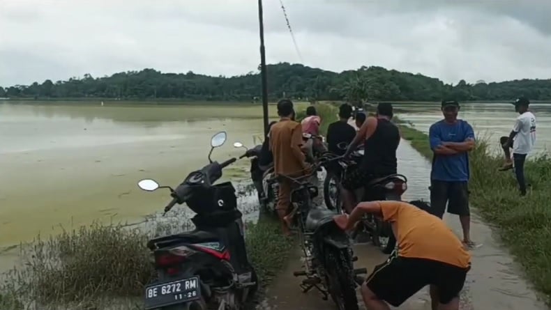 Bendungan Way Gatel, 200 Hektare Sawah di Pringsewu Terendam Banjir