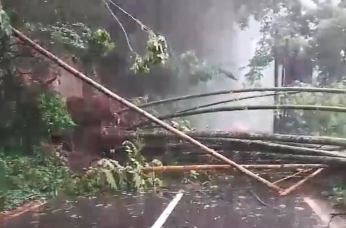 Diguyur Hujan Deras, Tebing 20 Meter Longsor Tutup Jalan Raya Malang-Kediri