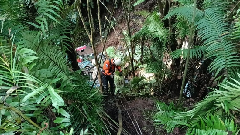 Truk Angkut Organ Tunggal Terjun ke Jurang di Pasaman, Evakuasi Korban Gunakan Alat Khusus