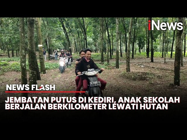 Jembatan  Putus, Pelajar Terpaksa Lewati Hutan Karet dan Perkebunan Tebu Menuju Sekolah