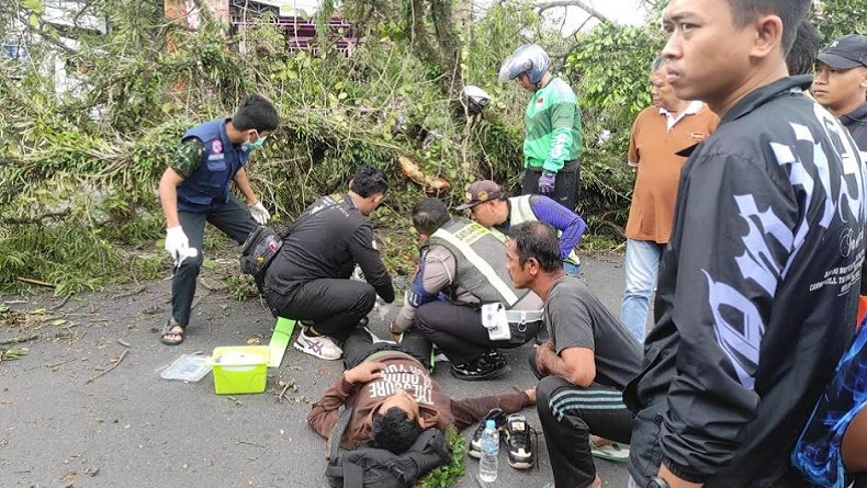 Pohon Tumbang Timpa 3 Pemotor di Jalan Raya Surabaya-Malang, 5 Orang Luka-Luka