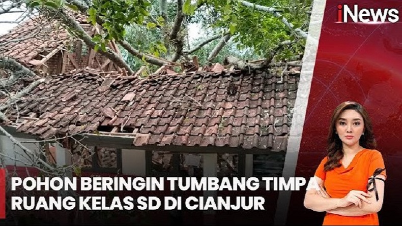 Pohon Beringin Setinggi 15 Meter Tumbang Timpa Ruang Kelas Sekolah di Cianjur