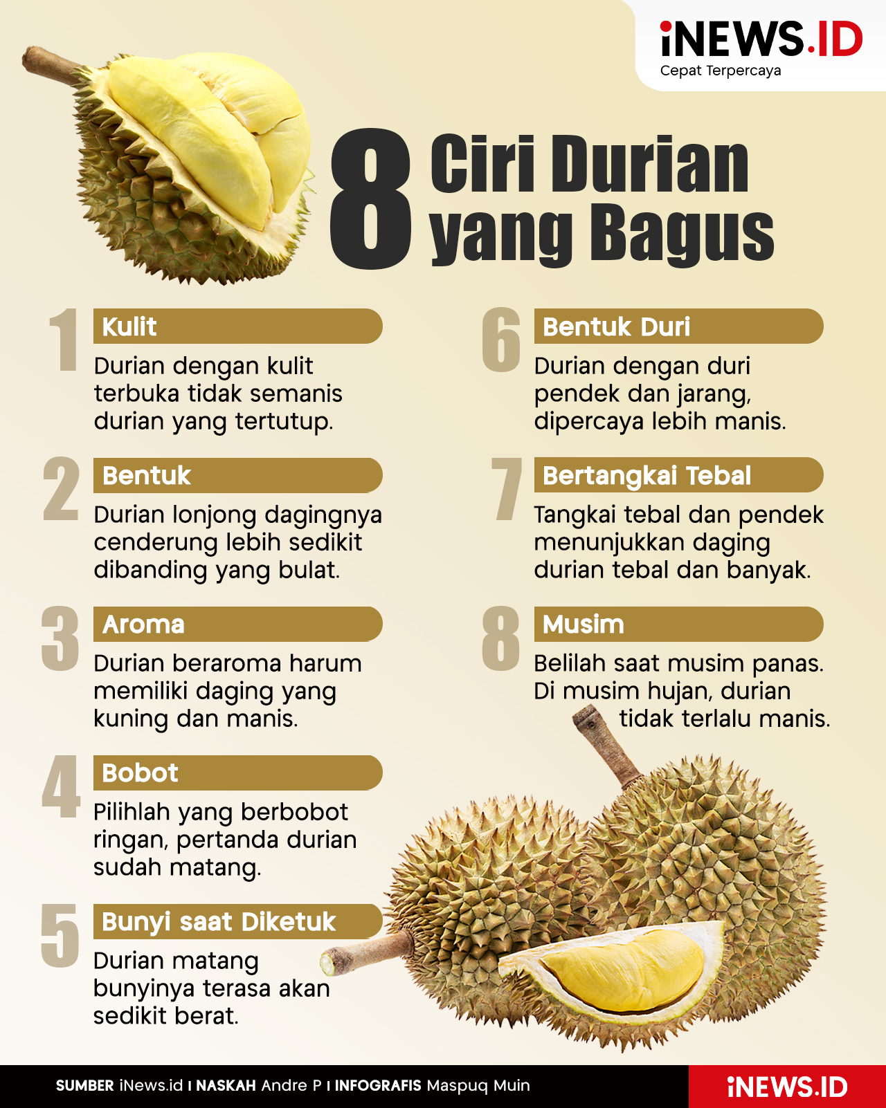 Infografis 8 Ciri Durian yang Bagus