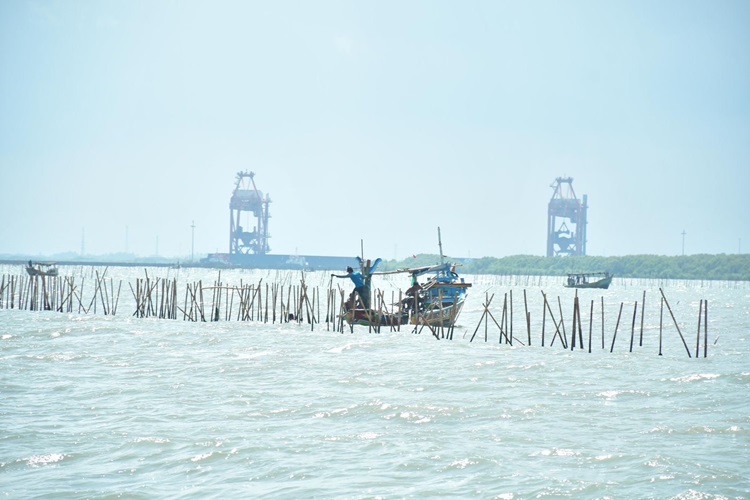 Update Pembongkaran Pagar Laut Tangerang: 22,5 Km Bambu Berhasil Dicabut TNI AL