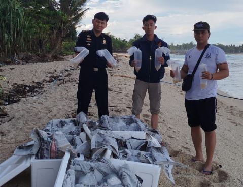 Oknum Polisi di Pesisir Barat Lampung jadi Tersangka Penyelundupan Benih Lobster